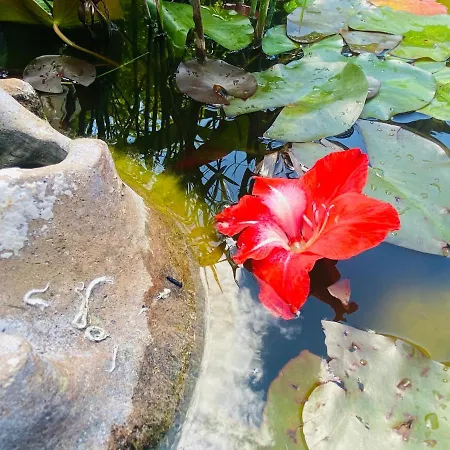 أبارتمنت لا بيرل نوار آجد