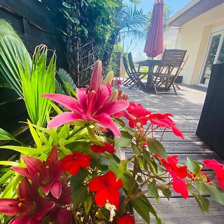 أبارتمنت لا بيرل نوار * آجد