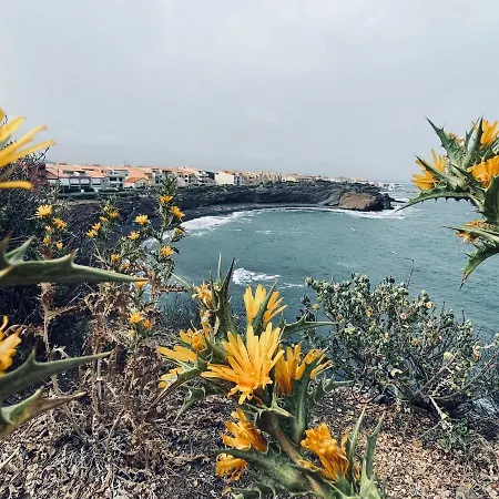 أبارتمنت لا بيرل نوار *