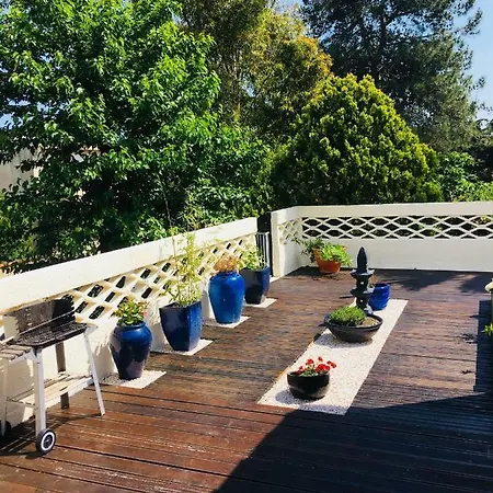 شقة أبارتمنت لا بيرل نوار *