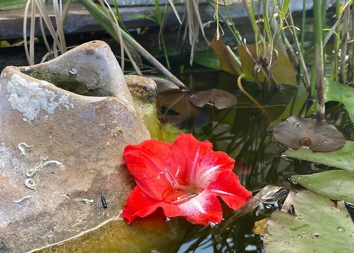 アパート La Perle Noire アグド