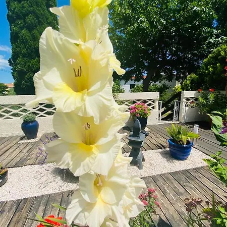 Appartamento La Perle Noire