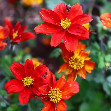 Appartamento La Perle Noire Agde