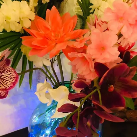 La Perle Noire Appartamento Agde