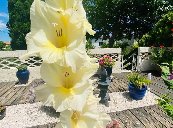 Apartment La Perle Noire