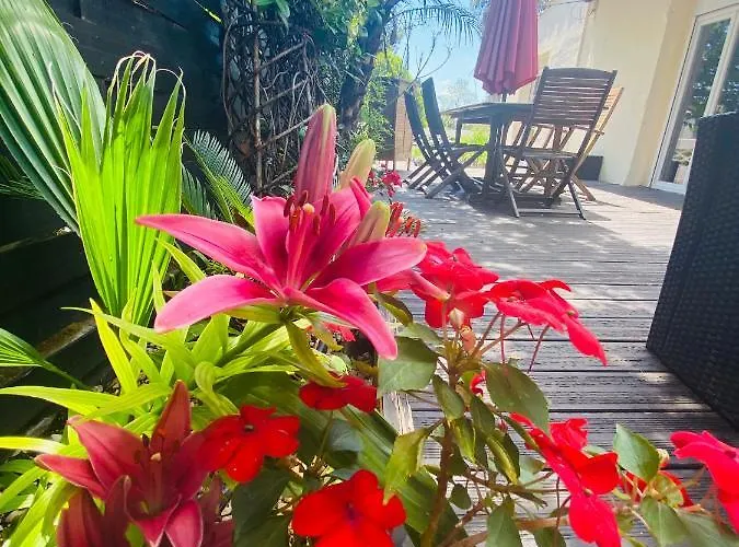 La Perle Noire * Agde