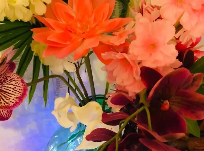 La Perle Noire Apartment Agde